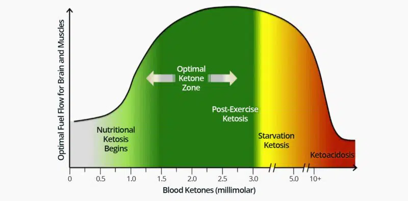 optimal ketosis levels
