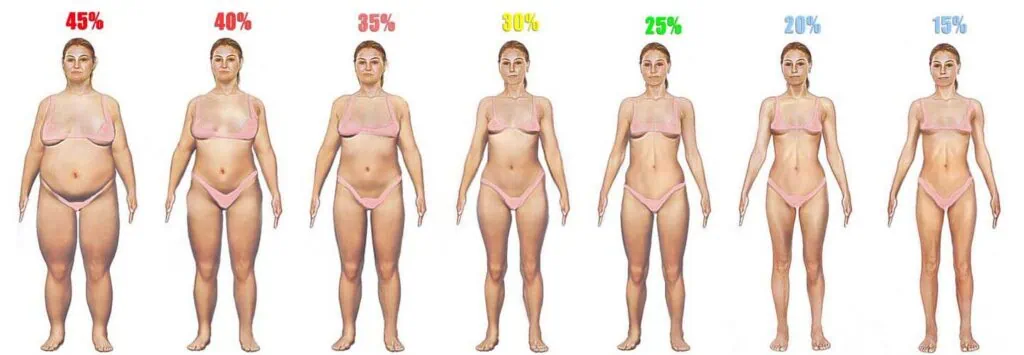 compare for body fat