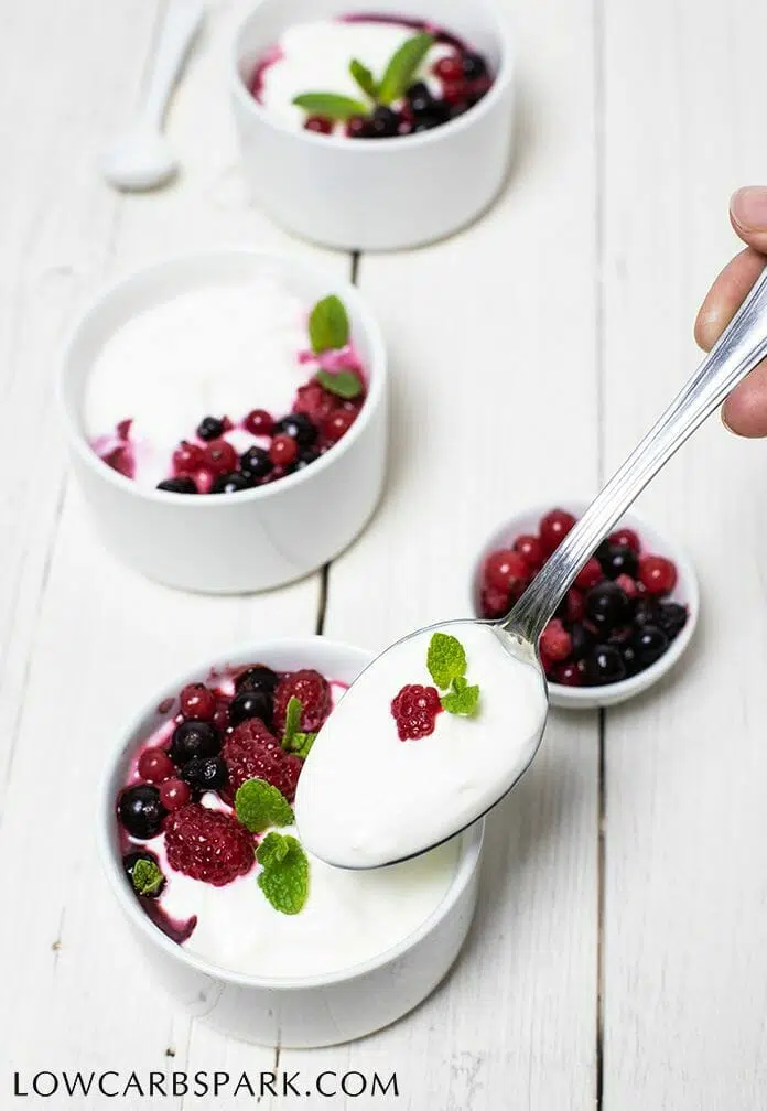 Here's a low carb yogurt is extremely easy to make and very low in carbs! This recipe has only 2 ingredients and only 3g carbs for half a cup. That's insane!! www.lowcarbspark.com via @lowcarbspark #lowcarbyogurt #yogurt