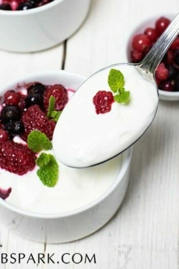 2-Ingredient Low Carb Yogurt