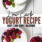 low carb yogurt recipe