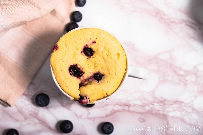 Lemon Blueberry Mug Cake - Savor the Flavour