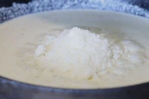 how to make Creamy Garlic Shrimp with Parmesan5