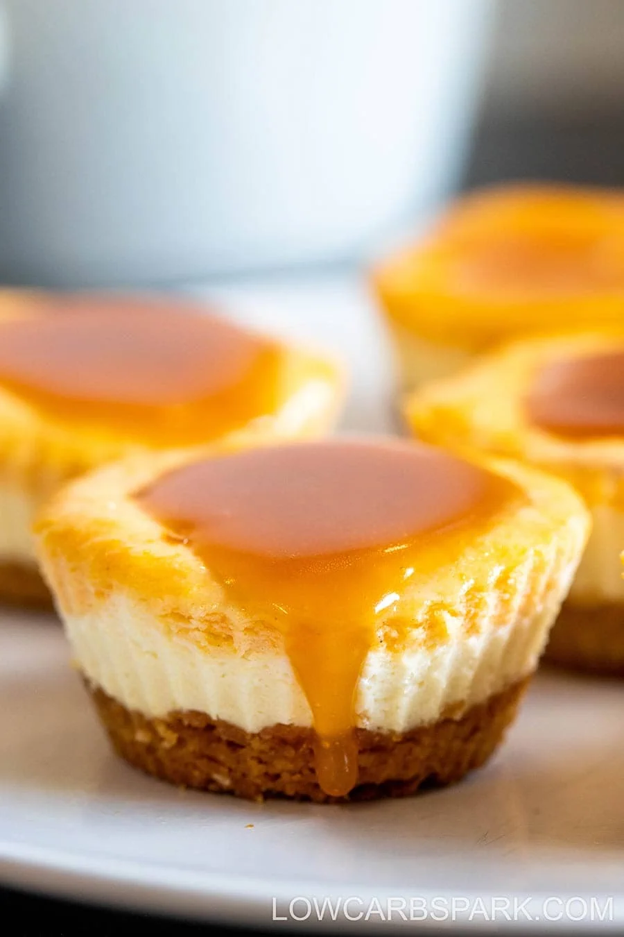 easy mini pumpkin cheesecakes