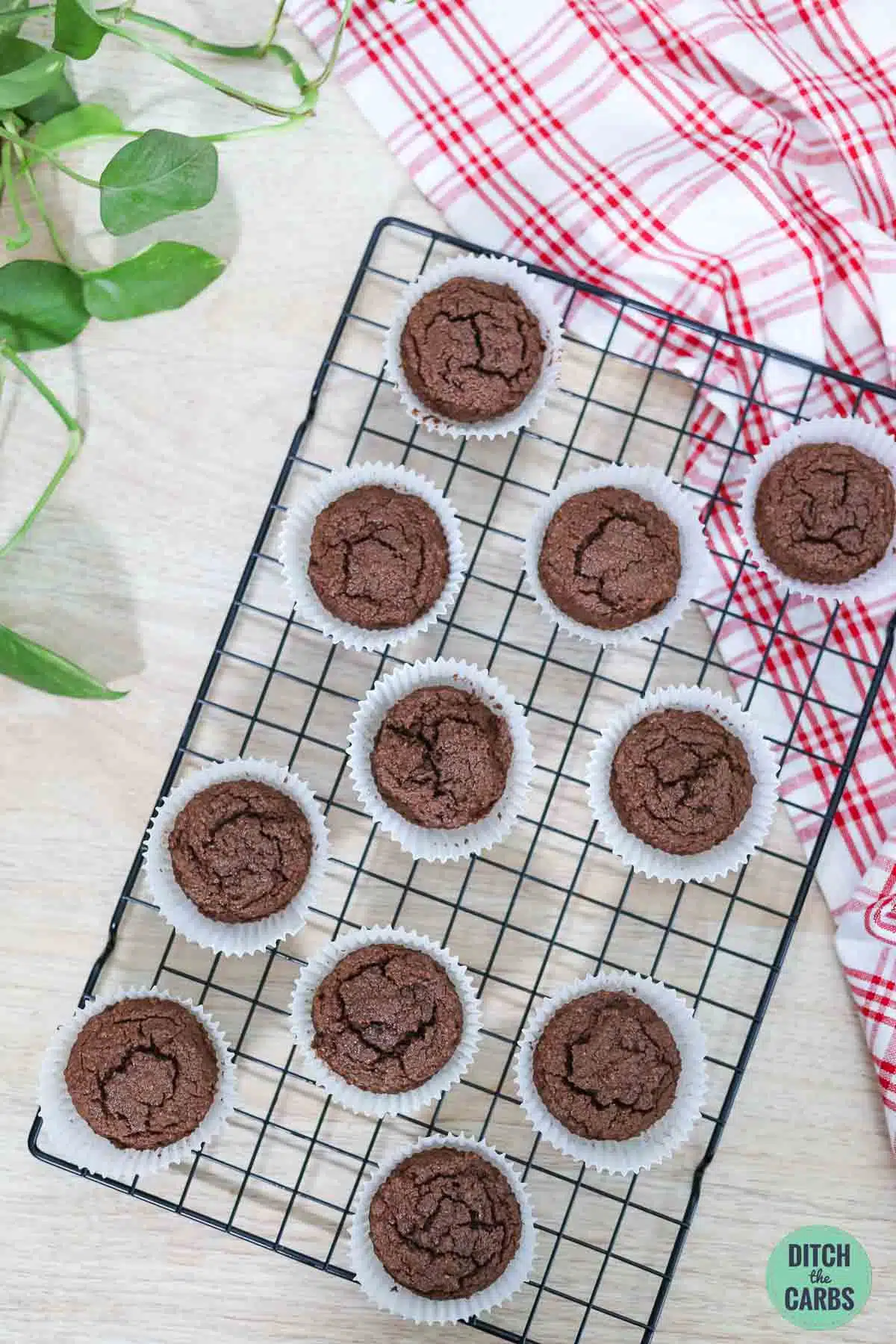 Keto Chocolate Cupcakes 12