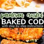 the best parmesan crusted cod pinterest