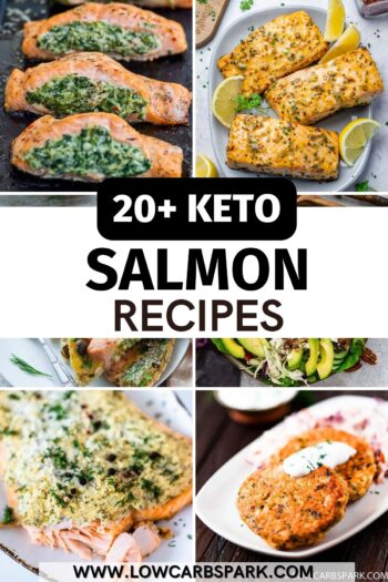 The Best 20+ Keto Salmon Recipes