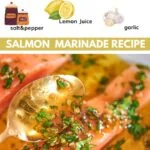 Salmon Marinade Recipe 4