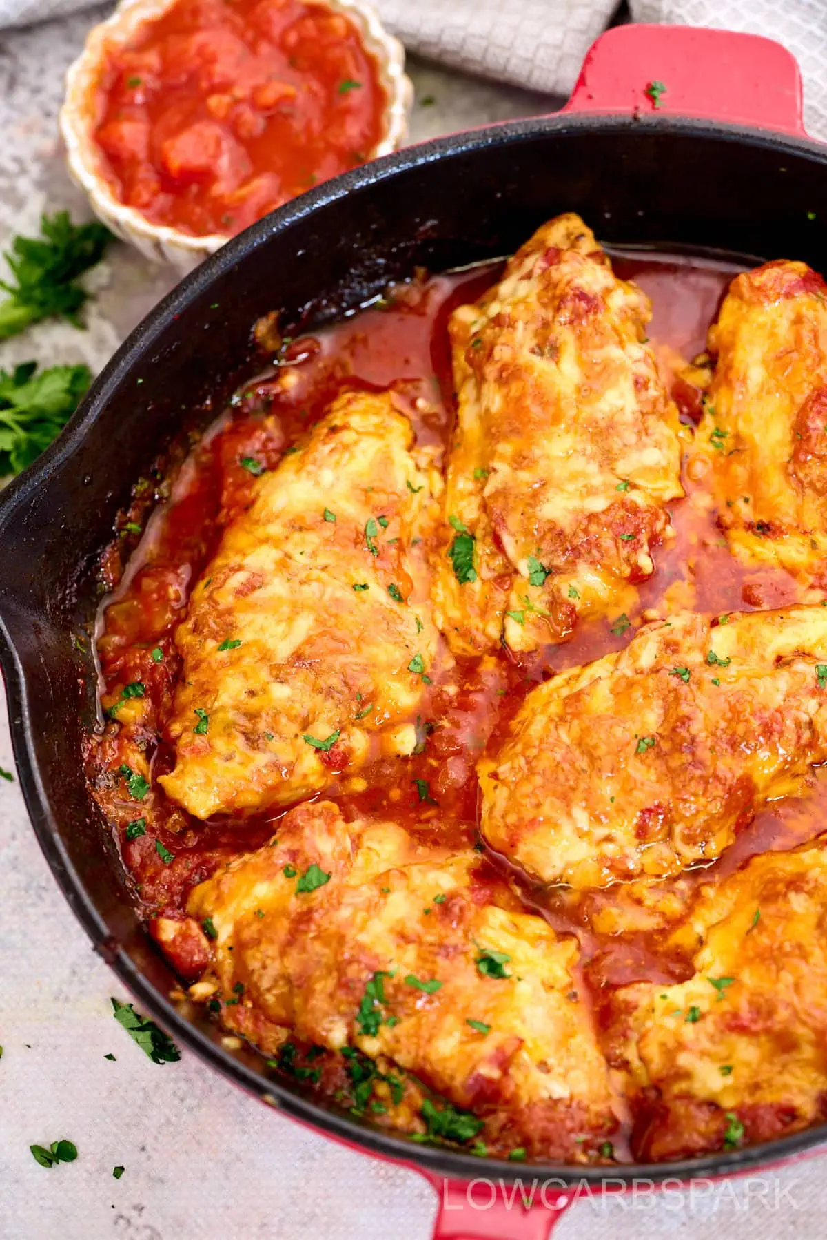the best salsa chicken recipe