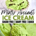 Minty Avocado Ice Cream