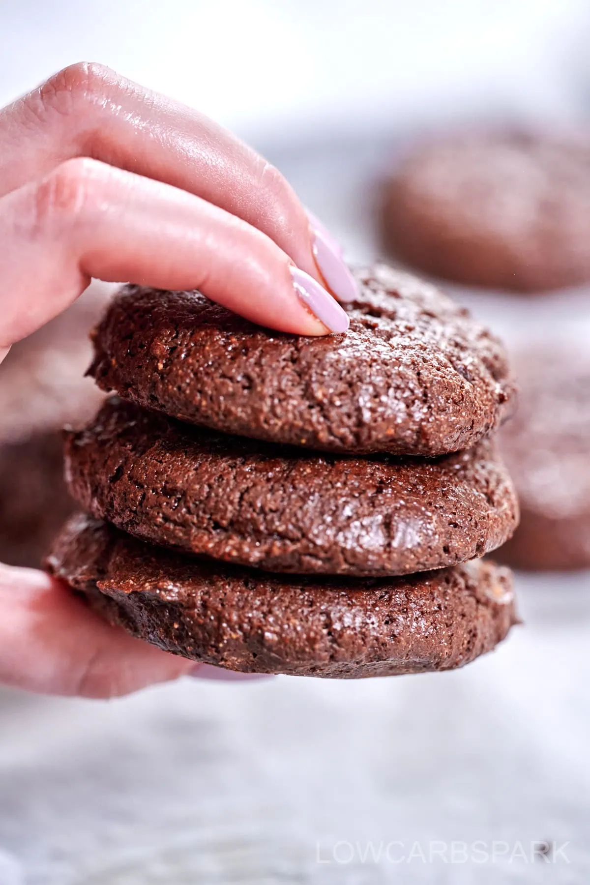 Protein Chocolate Cookies