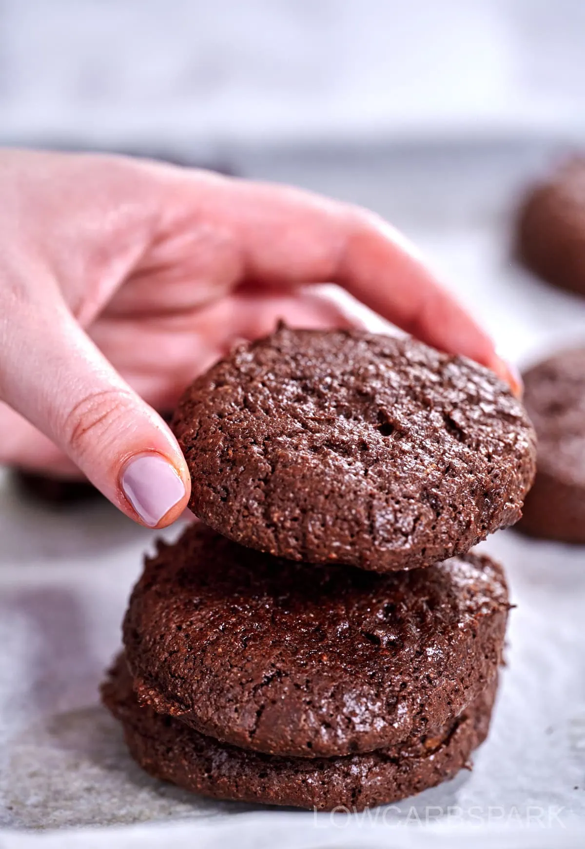 Protein Chocolate Cookies