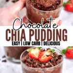 chocolate chia pudding pinterest recipe