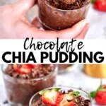 chocolate chia seed pudding pinterest 1