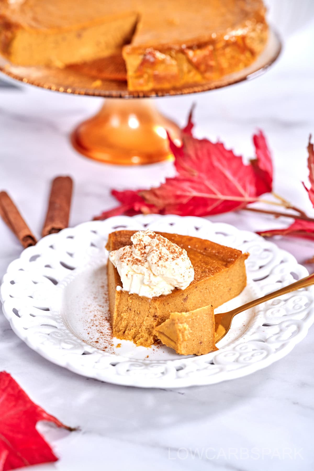 Crustless Pumpkin Pie3